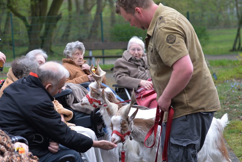 Martin Tränkler mit seinem rollenden Zoo im AWO-Heim an der Burgstraße.