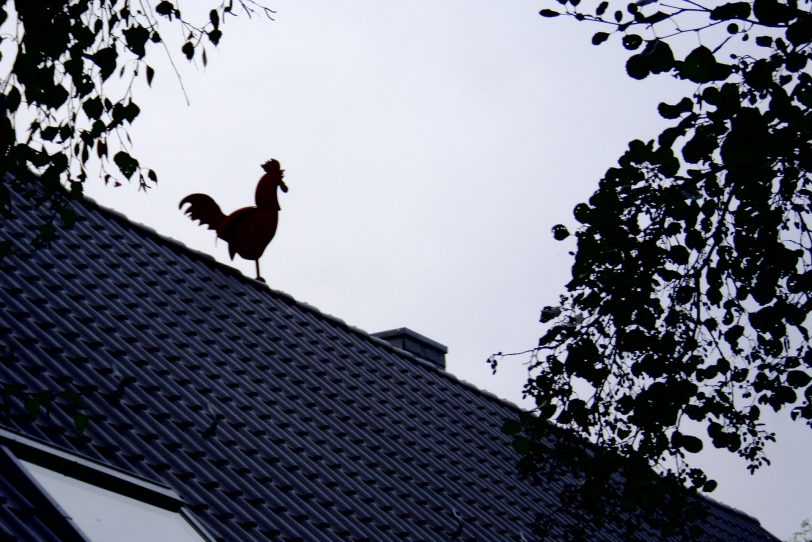 Objekt aus Stahl des Dortmunders Sebastian Wien - Wetterhahn auf dem Schlieker-Haus.