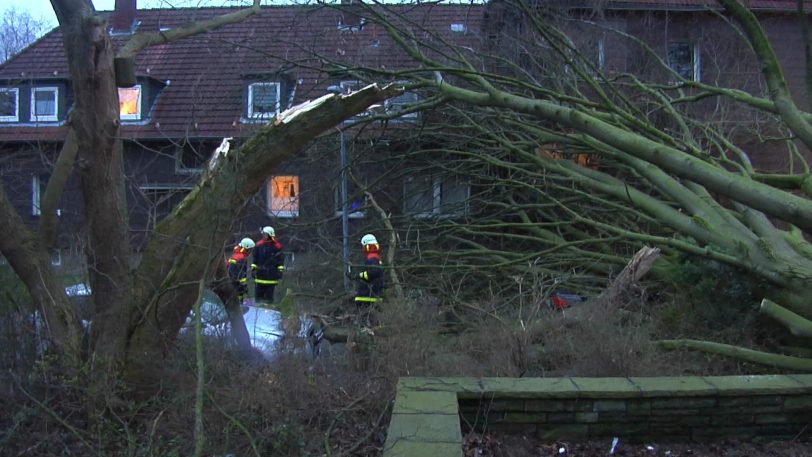 Das Tief Eberhard entwurzelte am Sonntag (10.3.2019 )mehrere Bäume im Stadtgebiet.