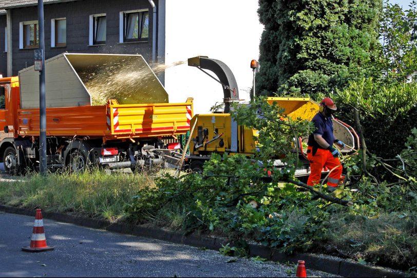 Bäume mussten weggeräumt werden (Archiv).