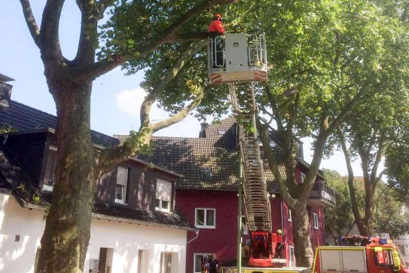 Die Einsatzkräfte mit Hubwagen.