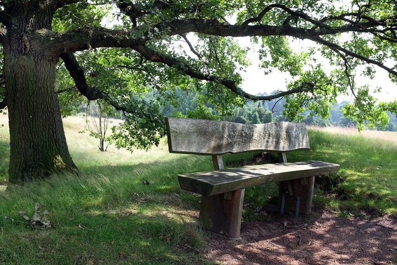 Naturschutzgebiet Westruper Heide