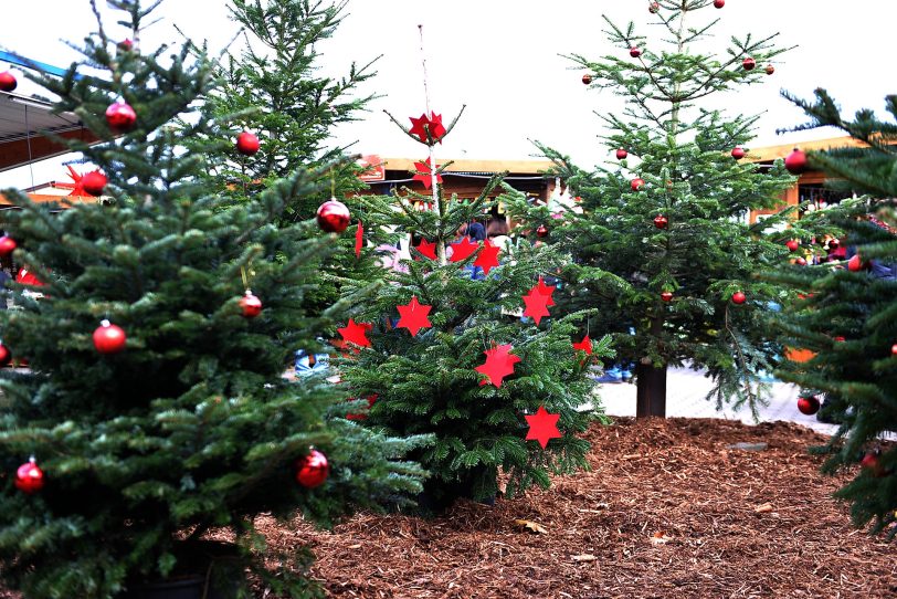 Weihnachtlicher Markt in Wanne-Mitte