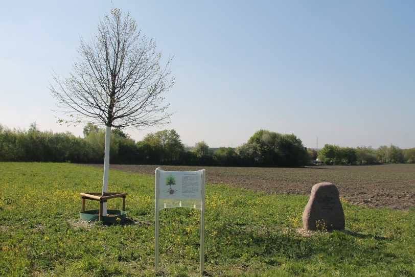 Corona-Gedenkort am Feldweg „An der Linde“ in Herne-Börnig.