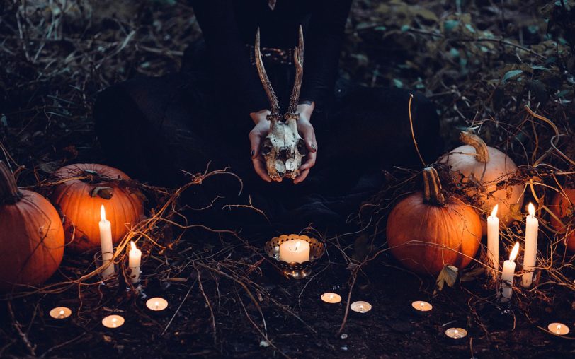 Passend zu Halloween verwandelt sich das Sportjugendhaus zum 