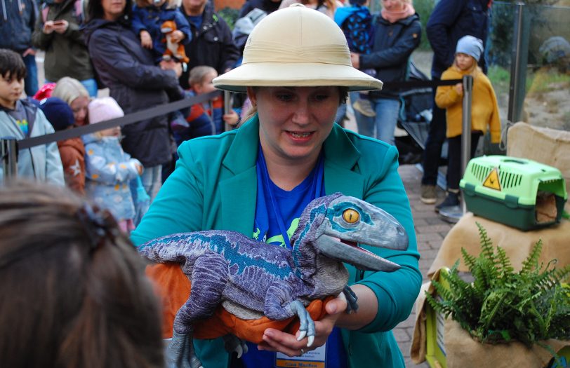 Es gibt auch ein Dino „Meet and Greet“.