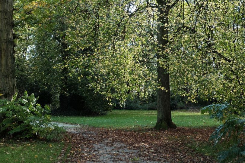 Herbst in Herne
