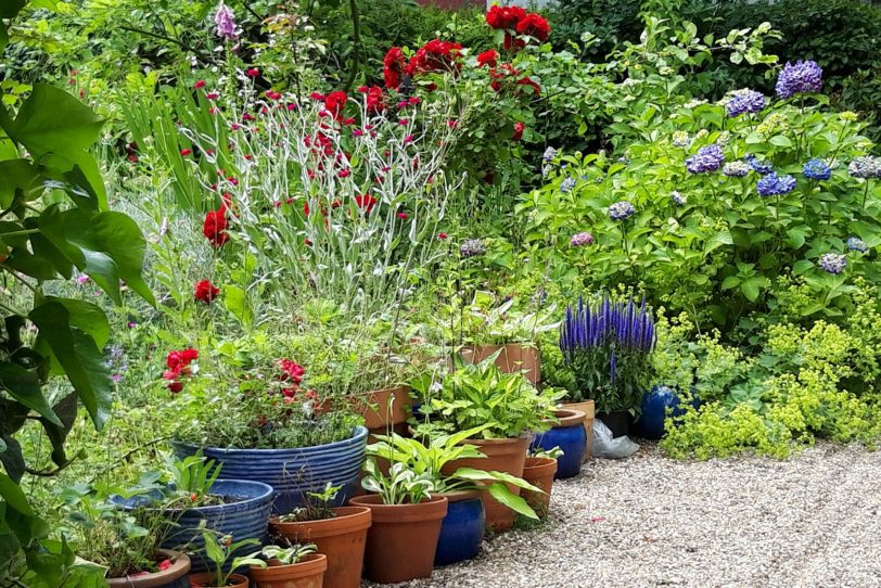 Der Garten von Anke Bolsmann.