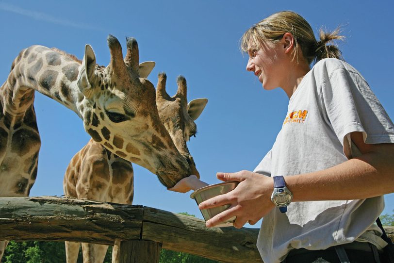 In der ZOOM Erlebniswelt einen Schnupperkursus für Tierpfleger buchen.