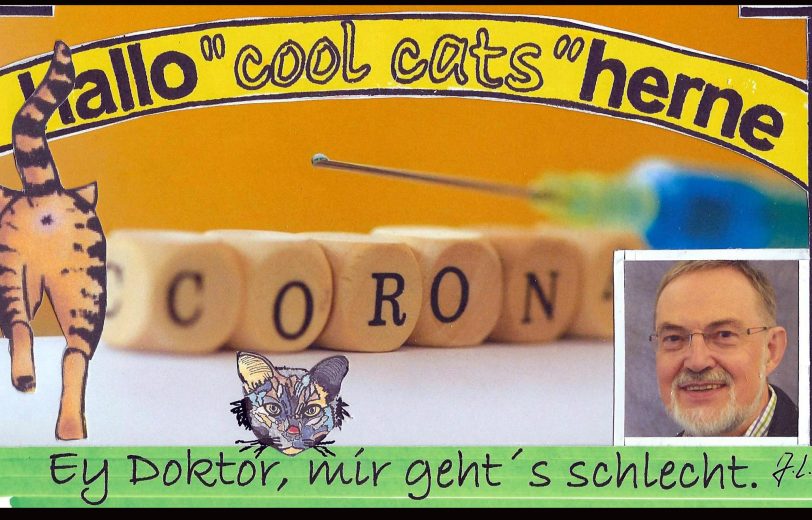 Viren oder Bakterien - die halloherne-Cool-Cats wollen endlich Bescheid wissen.