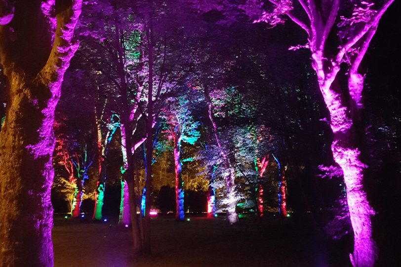 Dritter Waldweihnachtsmarkt im Kunstwald Teutoburgia.