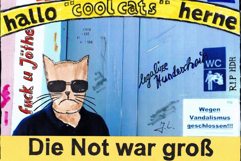 Cool-Cat in Not.