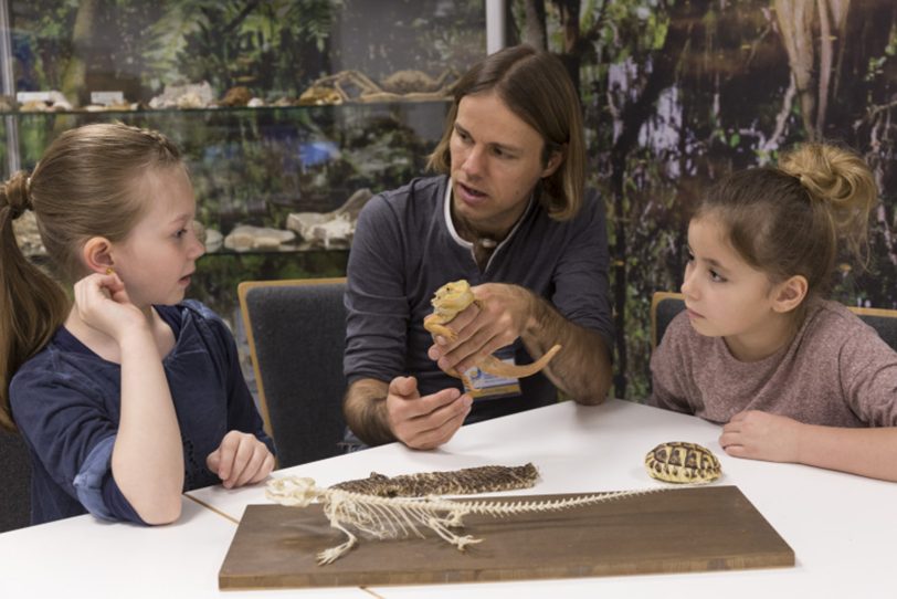 Wissenswertes über Eidechsen kann man zum Beispiel im Fossilium des Tierparks Bochum erfahren.