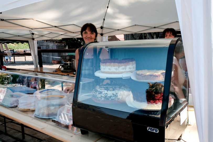 Pferdemarkt auf Gut Steinhausen.