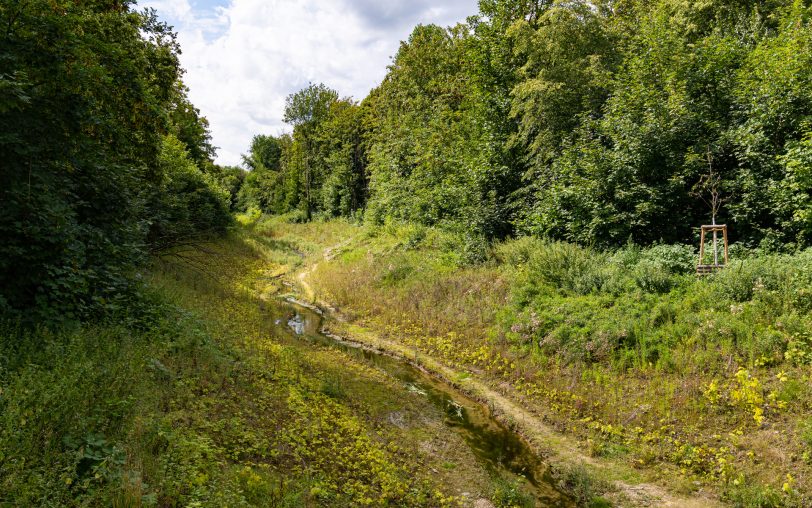 Dieser Abschnitt des Ostbachs am Rand der ehemaligen Hausmülldeponie (in Richtung Sodinger Bach) ist im Zuge des Emscher-Umbaus komplett neu angelegt worden.