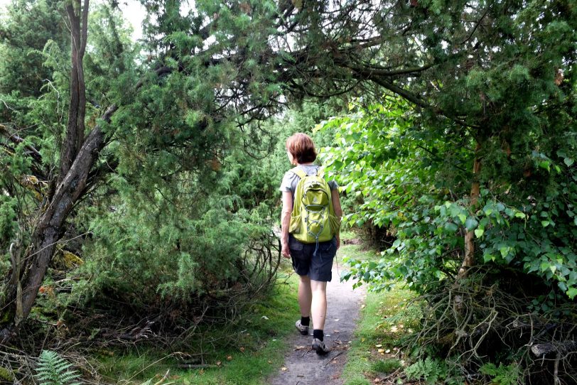 Naturschutzgebiet Westruper Heide