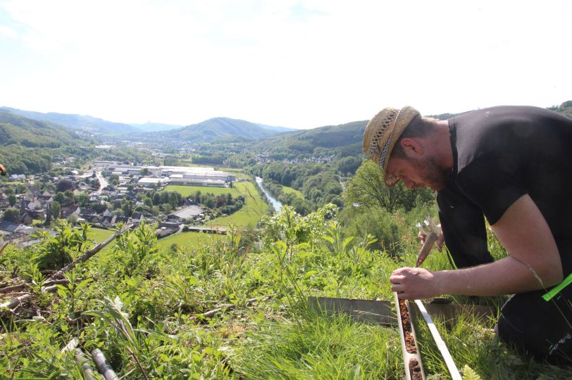 Der Vortragende Florian Jüngerich untersucht einen Bohrkern auf der Hünenburg bei Sundern.