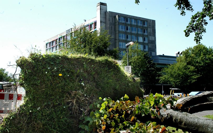 Am Hölkeskampring.