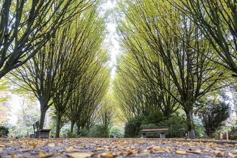 Ökumenische Andacht zu Allerheiligen auf dem Wiescherfriedhof in Herne (NW), am Sonntag (01.11.2020).