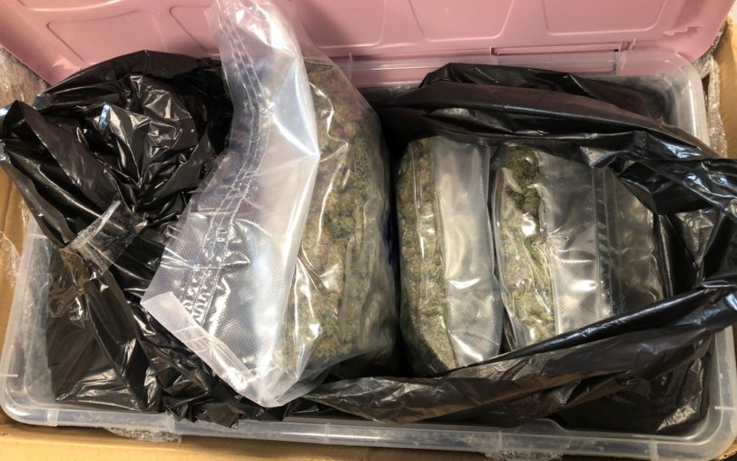 Hier das gefundene Marihuana.