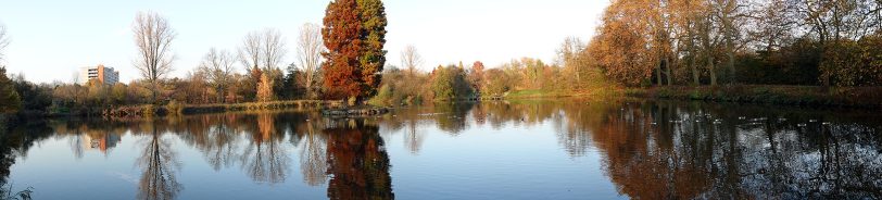 Herbstimpressionen.