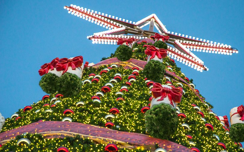 Soll der höchste Weihnachtsbaum der Welt sein: Das Exemplar vom Cranger Weihnachtszauber mit einer Höhe von 45 Metern (Archivbild).