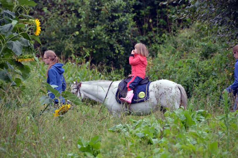 Familiennachmittag auf Hof Wessels.