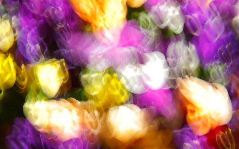 Ein Werk aus der Ausstellung