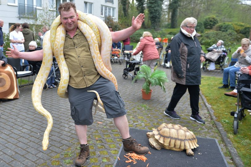 Martin Tränkler mit der Tiger-Pathon Willi der Würger um den Hals.