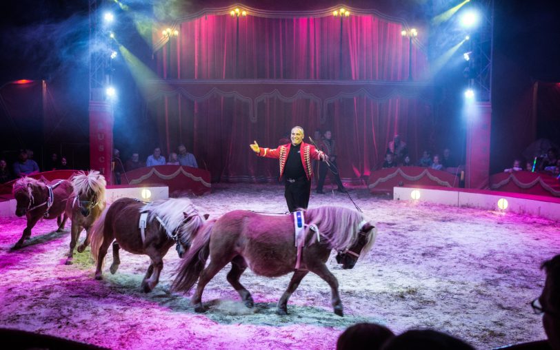 Der Circus Paul Busch gastiert auf dem Cranger Kirmesplatz mit seiner Show 