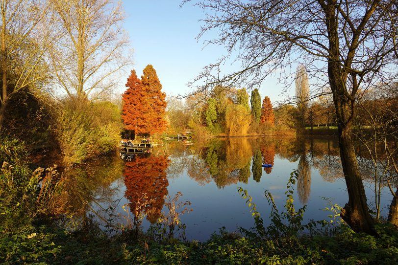 Herbstimpressionen.