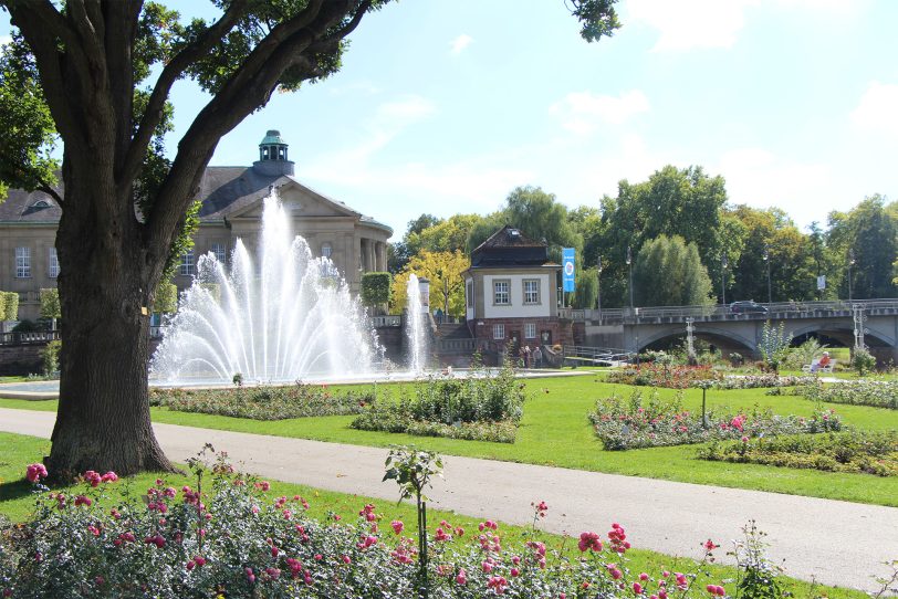 Der Rosengarten von Bad Kissingen.