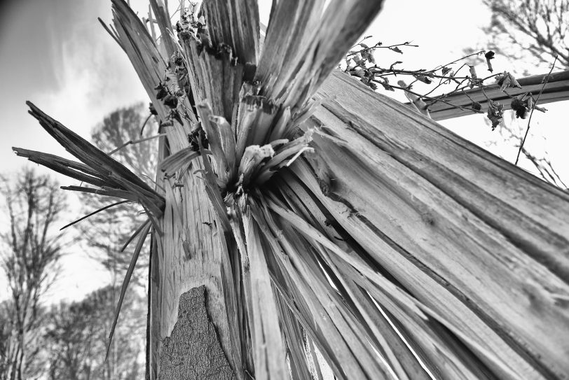 Stürme zerstörten die Wälder.