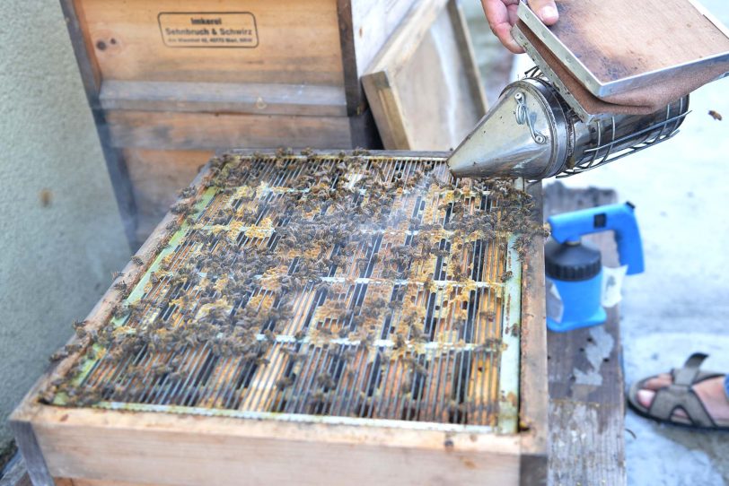 Bienen-Biotop auf dem Eickel Center.