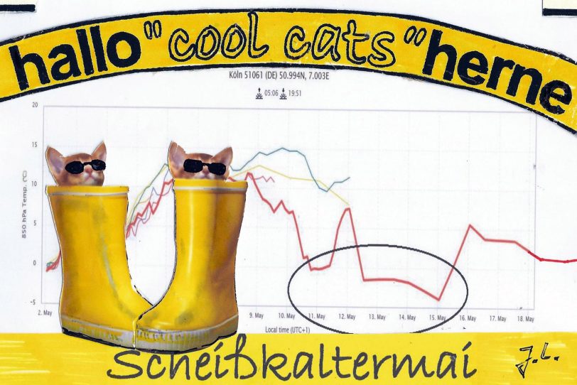 Den cool cats ist der Mai zu kalt.