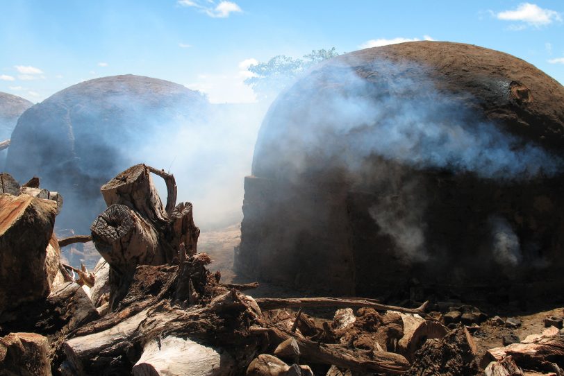 Film und Gespräch zum Tag der Menschenrechte – Schmutzige Geschäfte mit dem Klimaschutz in Deutschland und Brasilien.