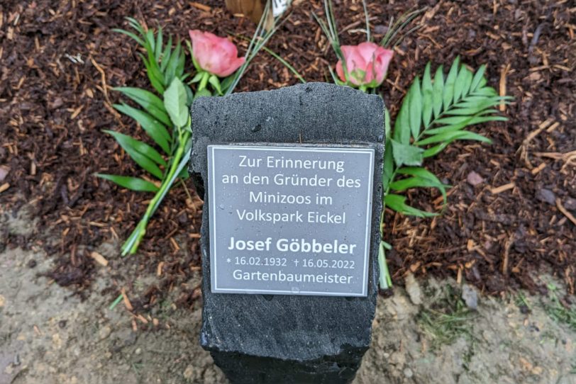 Eine Stele und eine Flügelnuss erinnern an das Wirken des Josef Göbbeler im Stadtbezirk Eickel.