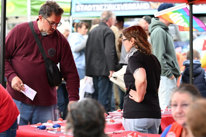 Stand der Partei Die Linke