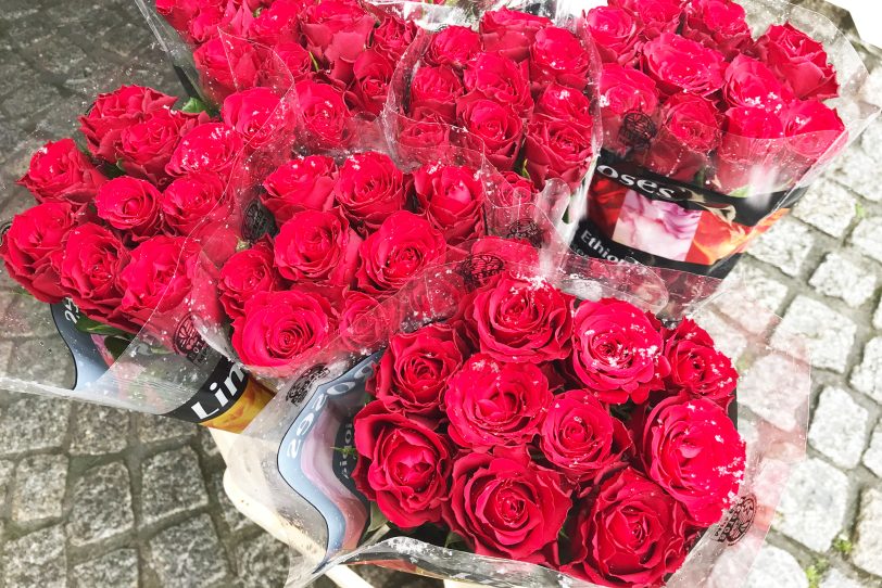 Die Rosenverteilaktion will auf den Kampf für Frauenrechte und die Forderung nach fairen Lohnverhältnissen aufmerksam machen.