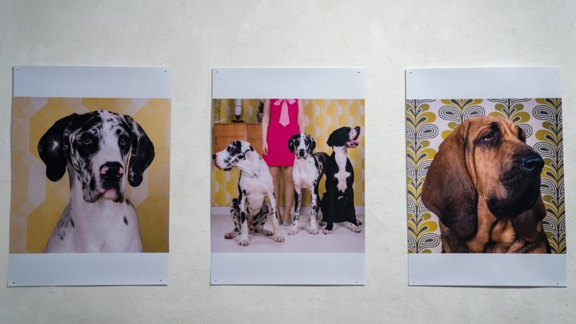 Die Ausstellung "Inszenierte Fotografien" von Patricia Eichert in der Künstlerzeche Unser Fritz, geplant vom 6. bis 28. März 2021.