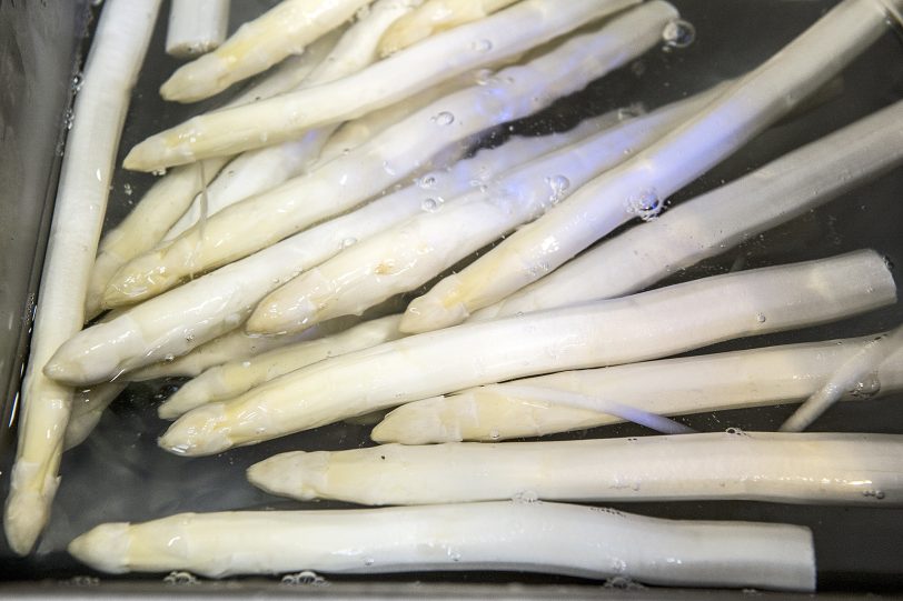 April: Spargel-Saison beginnt