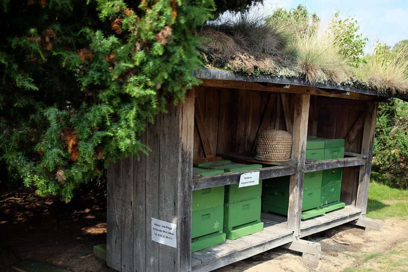 Naturschutzgebiet Westruper Heide
