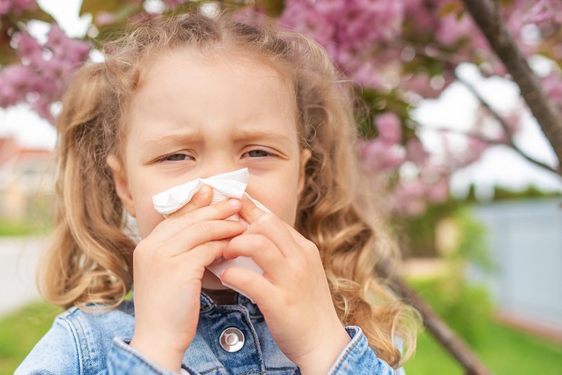 Ein Drittel der Deutschen erhält die Diagnose Allergie, die meisten davon sind von Heuschnupfen betroffen.