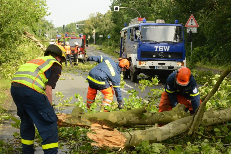 Sturm-Spuren beseitigen.