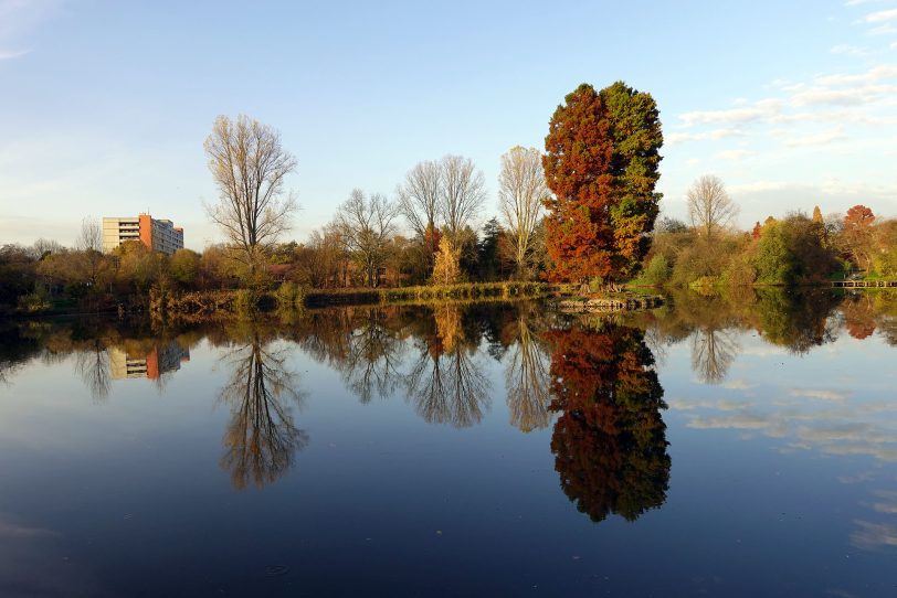 Herbstimpressionen.