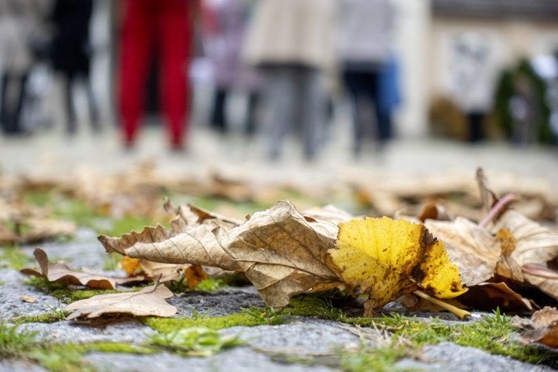 Ökumenische Andacht zu Allerheiligen auf dem Wiescherfriedhof in Herne (NW), am Sonntag (01.11.2020).