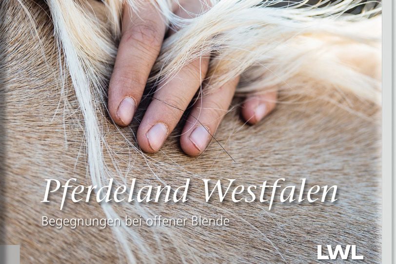 Das Cover der Publikation