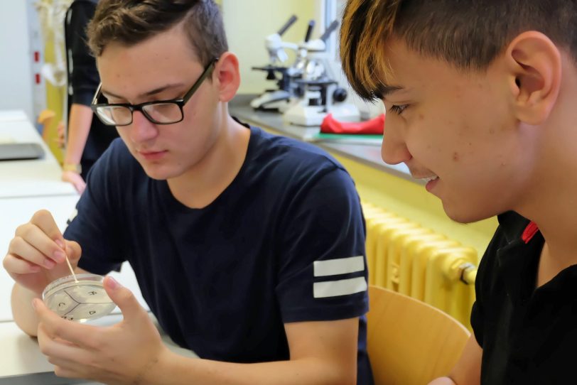 Mikrobiologische Versuche an der Realschule Crange.