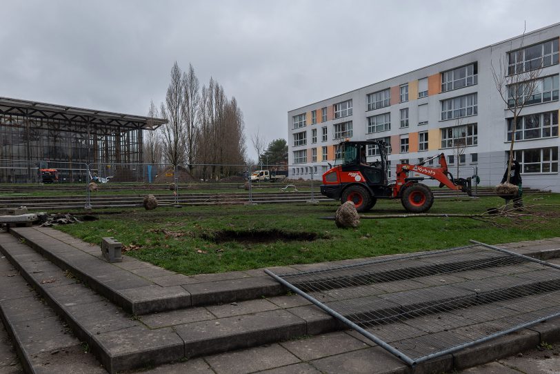 20 Zierkirschen wurden vor der Akademie Mont-Cenis gepflanzt.