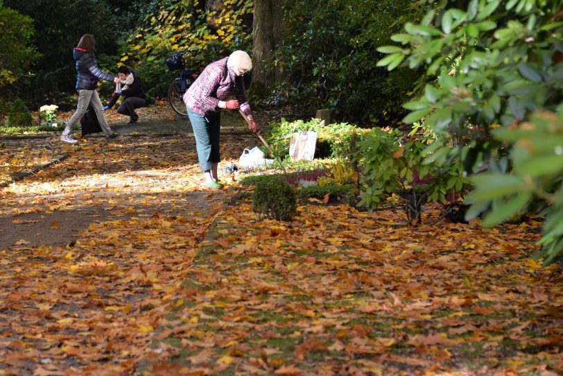 Sonniger November-Beginn